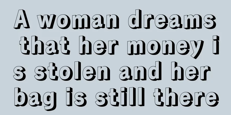 A woman dreams that her money is stolen and her bag is still there