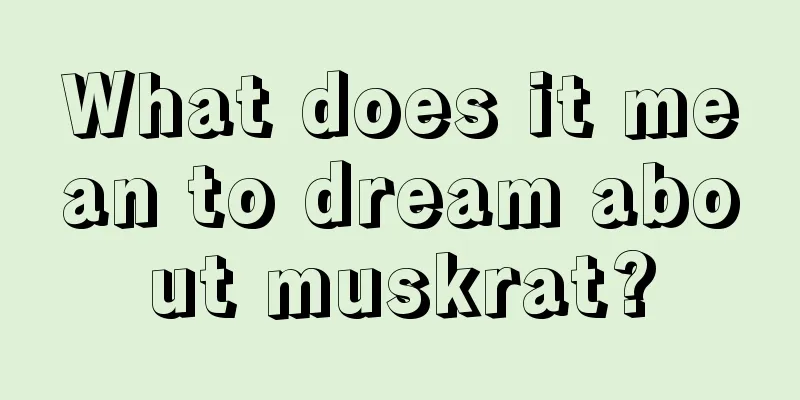 What does it mean to dream about muskrat?