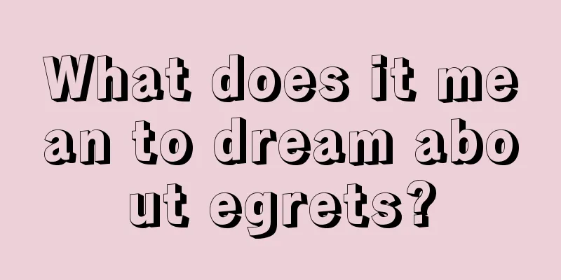 What does it mean to dream about egrets?