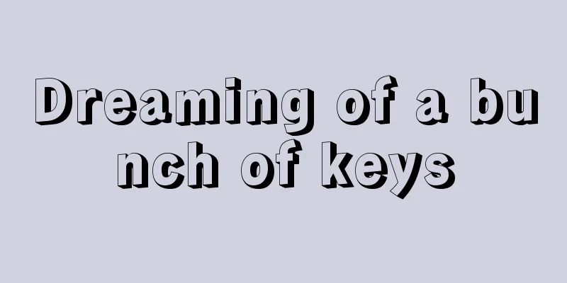 Dreaming of a bunch of keys