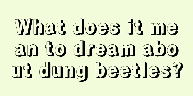 What does it mean to dream about dung beetles?