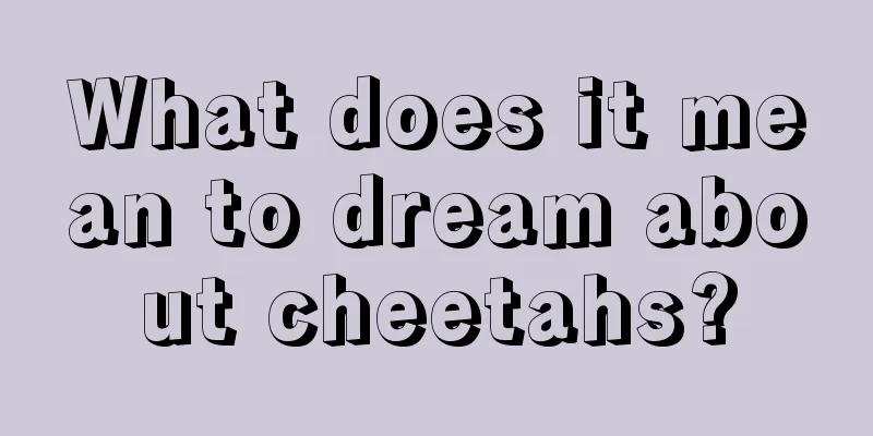 What does it mean to dream about cheetahs?