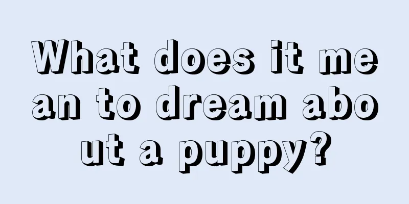 What does it mean to dream about a puppy?