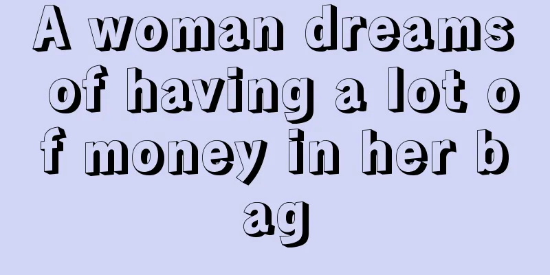 A woman dreams of having a lot of money in her bag