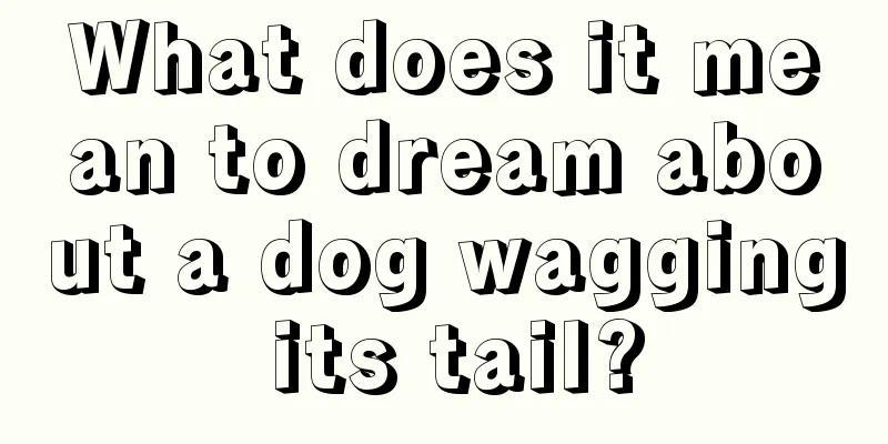 What does it mean to dream about a dog wagging its tail?