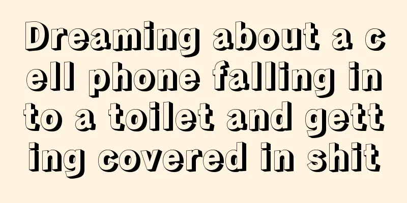 Dreaming about a cell phone falling into a toilet and getting covered in shit