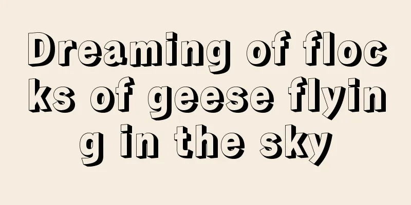 Dreaming of flocks of geese flying in the sky