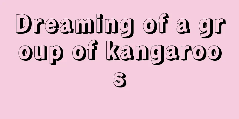 Dreaming of a group of kangaroos