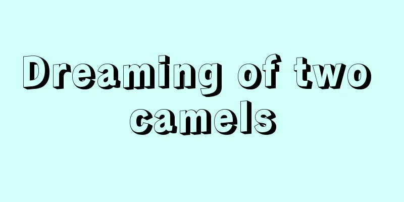 Dreaming of two camels