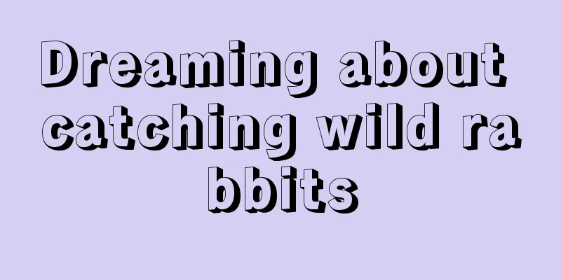 Dreaming about catching wild rabbits