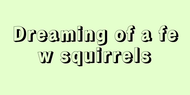 Dreaming of a few squirrels