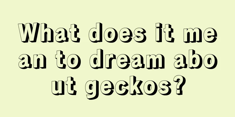 What does it mean to dream about geckos?