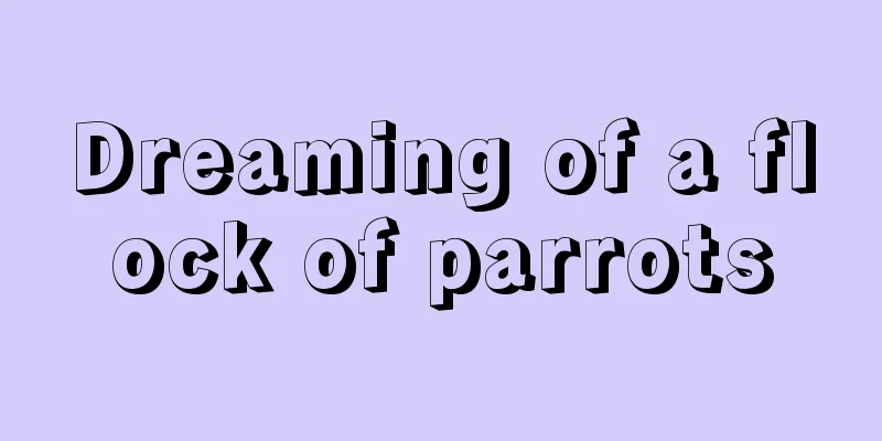 Dreaming of a flock of parrots