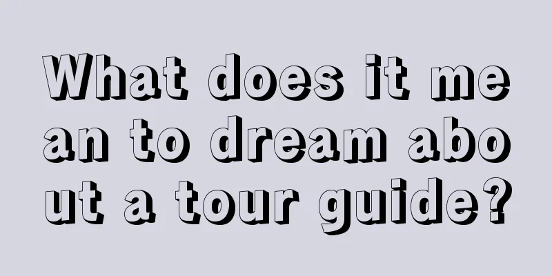 What does it mean to dream about a tour guide?