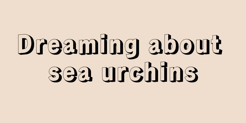 Dreaming about sea urchins