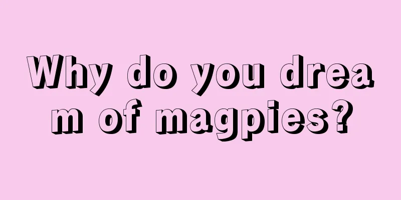 Why do you dream of magpies?