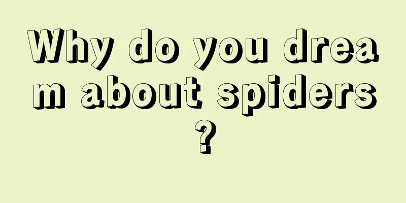 Why do you dream about spiders?