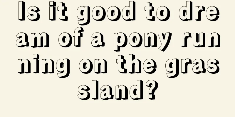 Is it good to dream of a pony running on the grassland?