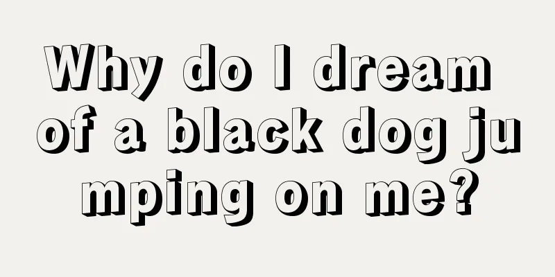 Why do I dream of a black dog jumping on me?