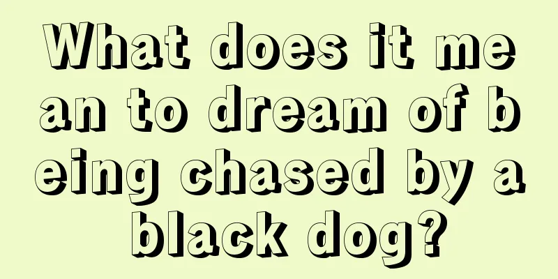 What does it mean to dream of being chased by a black dog?