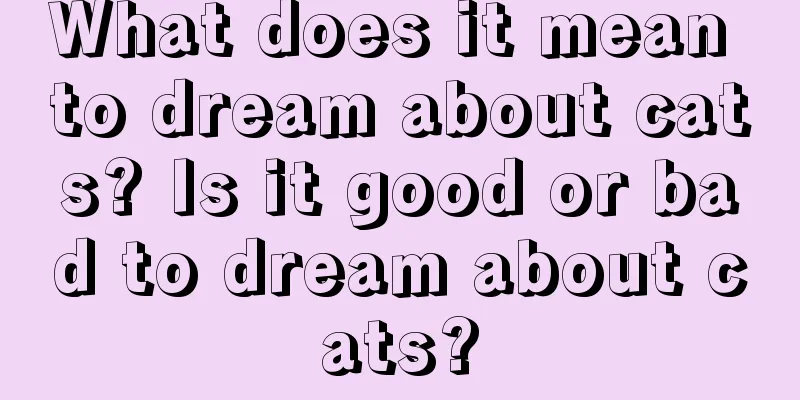 What does it mean to dream about cats? Is it good or bad to dream about cats?