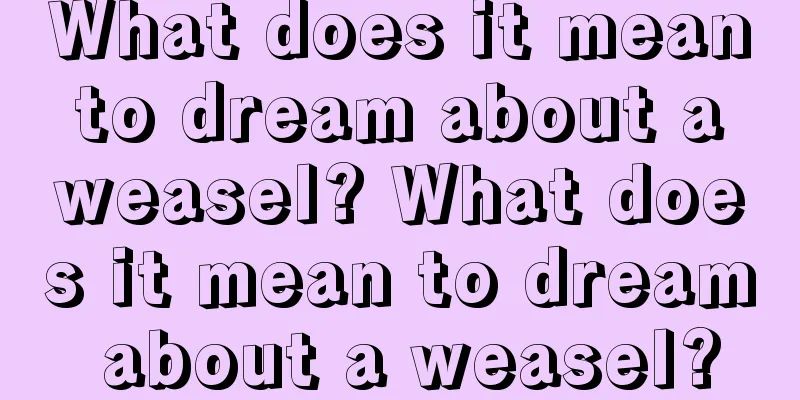 What does it mean to dream about a weasel? What does it mean to dream about a weasel?