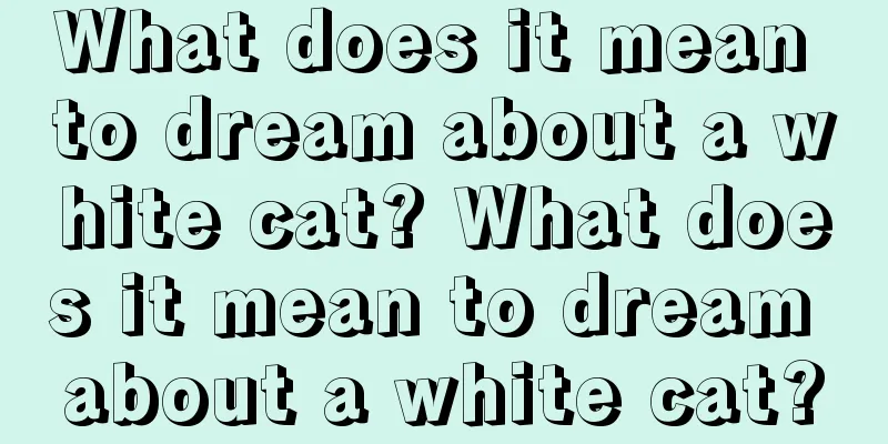 What does it mean to dream about a white cat? What does it mean to dream about a white cat?