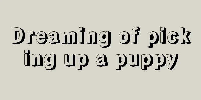 Dreaming of picking up a puppy