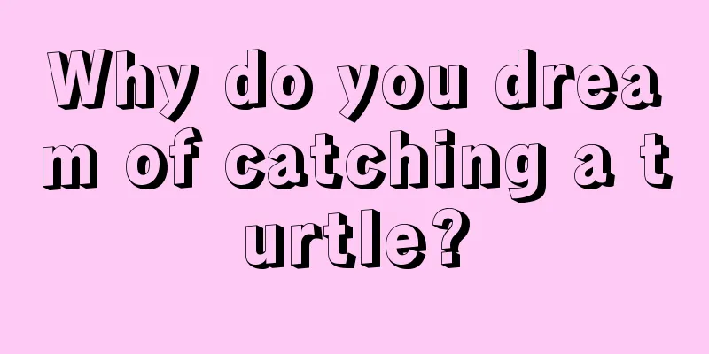 Why do you dream of catching a turtle?