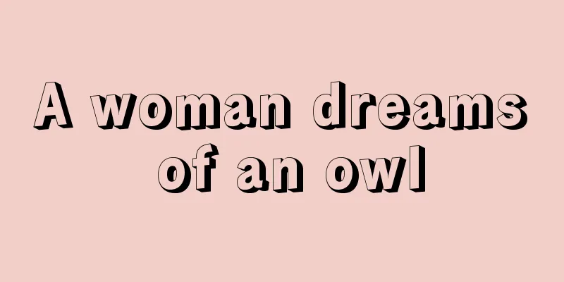 A woman dreams of an owl