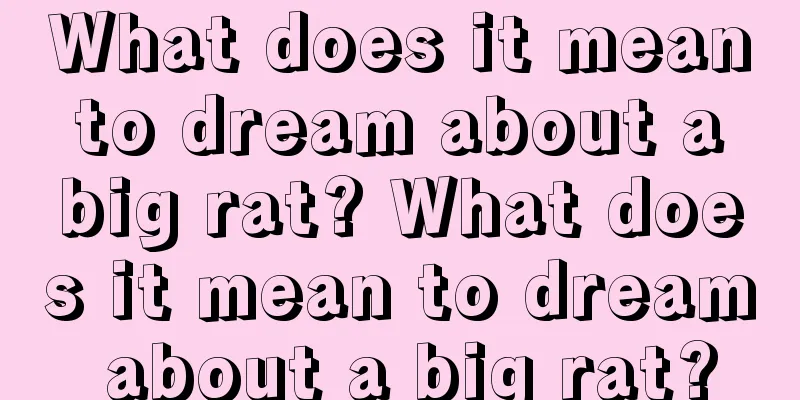 What does it mean to dream about a big rat? What does it mean to dream about a big rat?