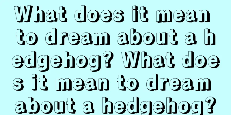 What does it mean to dream about a hedgehog? What does it mean to dream about a hedgehog?