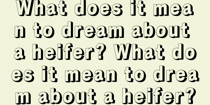 What does it mean to dream about a heifer? What does it mean to dream about a heifer?