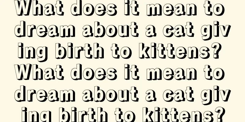 What does it mean to dream about a cat giving birth to kittens? What does it mean to dream about a cat giving birth to kittens?