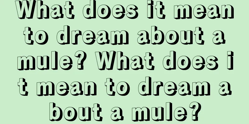 What does it mean to dream about a mule? What does it mean to dream about a mule?