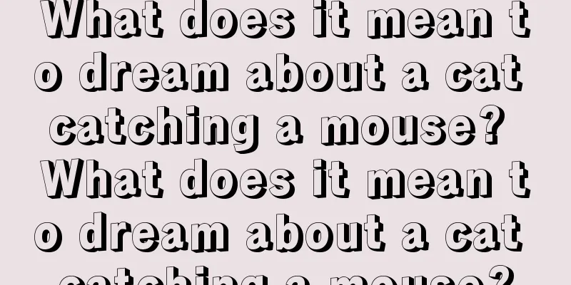 What does it mean to dream about a cat catching a mouse? What does it mean to dream about a cat catching a mouse?