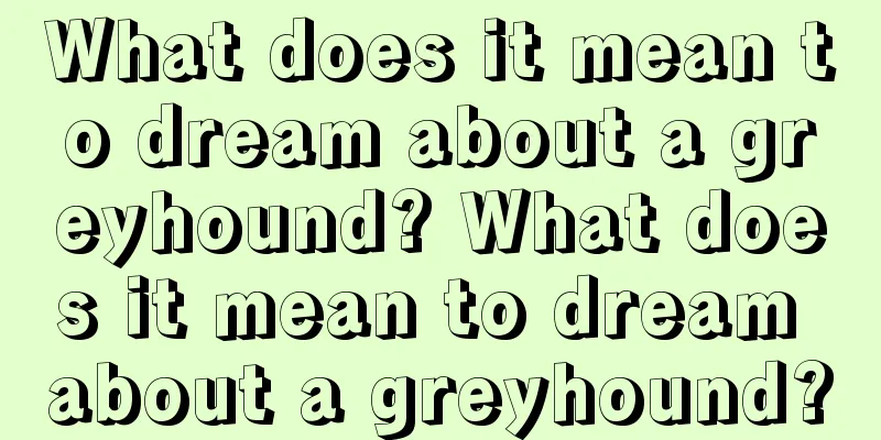 What does it mean to dream about a greyhound? What does it mean to dream about a greyhound?