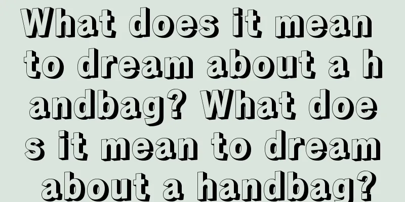 What does it mean to dream about a handbag? What does it mean to dream about a handbag?