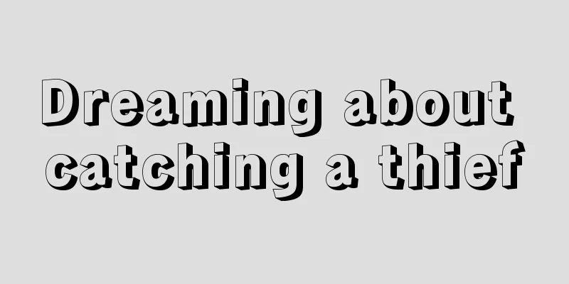 Dreaming about catching a thief