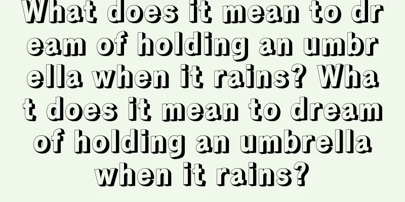 What does it mean to dream of holding an umbrella when it rains? What does it mean to dream of holding an umbrella when it rains?