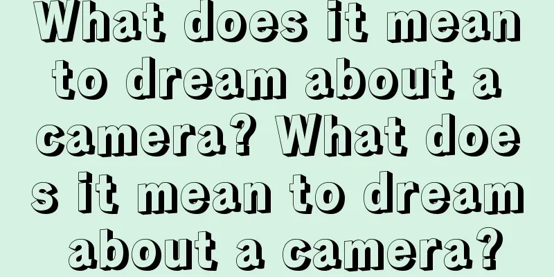 What does it mean to dream about a camera? What does it mean to dream about a camera?