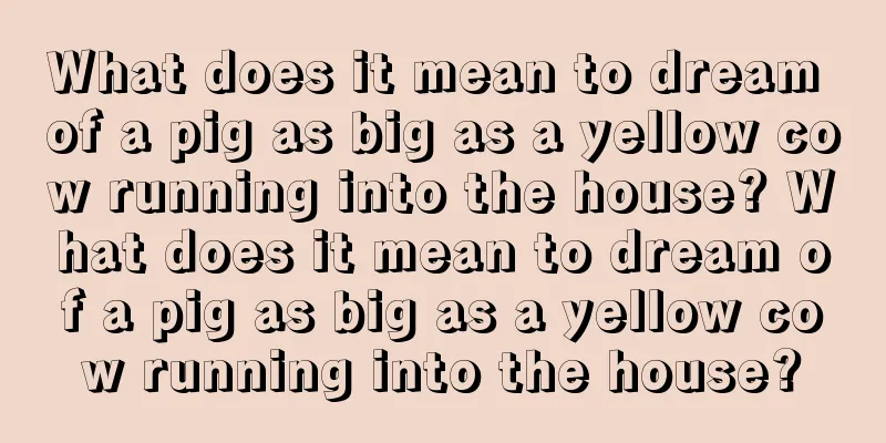 What does it mean to dream of a pig as big as a yellow cow running into the house? What does it mean to dream of a pig as big as a yellow cow running into the house?