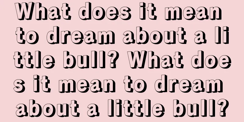 What does it mean to dream about a little bull? What does it mean to dream about a little bull?