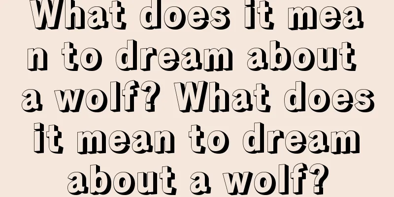 What does it mean to dream about a wolf? What does it mean to dream about a wolf?