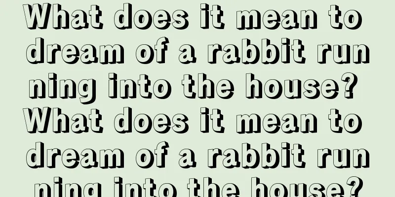 What does it mean to dream of a rabbit running into the house? What does it mean to dream of a rabbit running into the house?