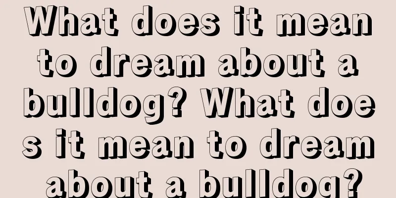 What does it mean to dream about a bulldog? What does it mean to dream about a bulldog?