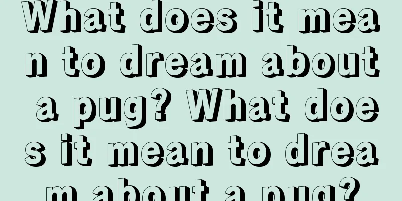 What does it mean to dream about a pug? What does it mean to dream about a pug?