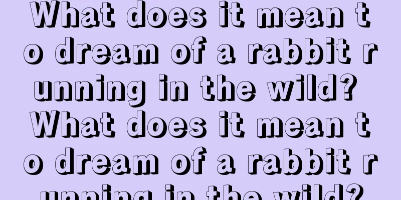 What does it mean to dream of a rabbit running in the wild? What does it mean to dream of a rabbit running in the wild?