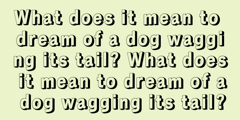 What does it mean to dream of a dog wagging its tail? What does it mean to dream of a dog wagging its tail?