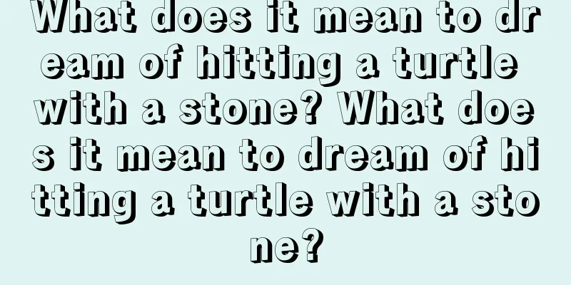 What does it mean to dream of hitting a turtle with a stone? What does it mean to dream of hitting a turtle with a stone?